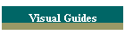 Visual Guides