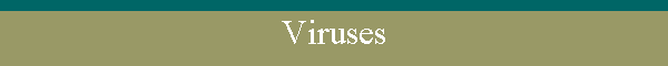 Viruses